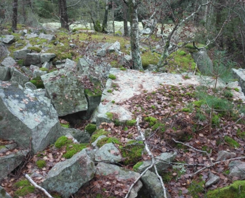 Ett av de större stenbrotten, vid Nordby DSCF6309_