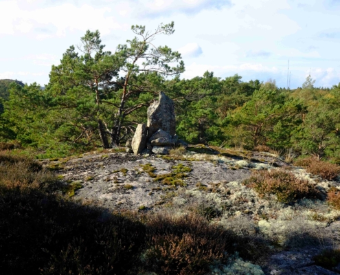Ett gränsmärke nära grebbestad, till höger syns masterna på Stöberget DSCF7941_