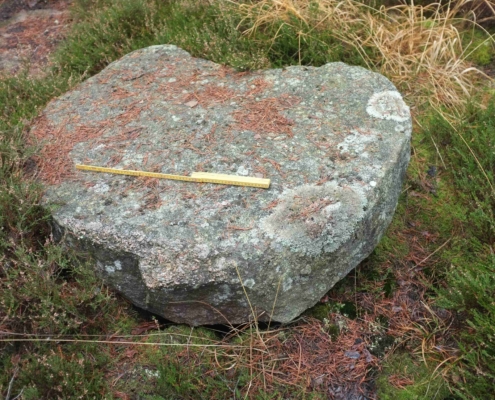 Kvarnstensämne vid Karlslund DSCF6293_