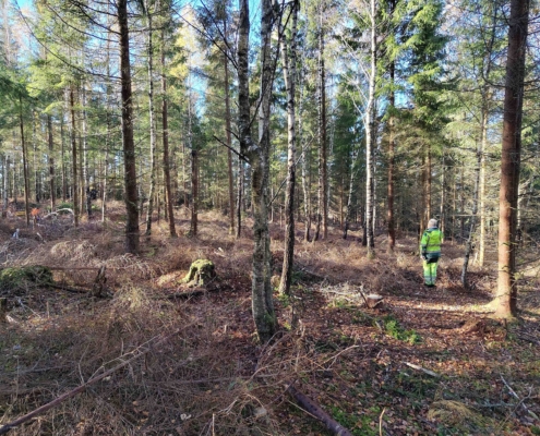 IMG_20251016_105901880_HDR_