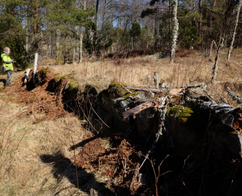 Stig mäter in en stödmur vid väg, i utredningsområdets norra del. Foto mot nordost.