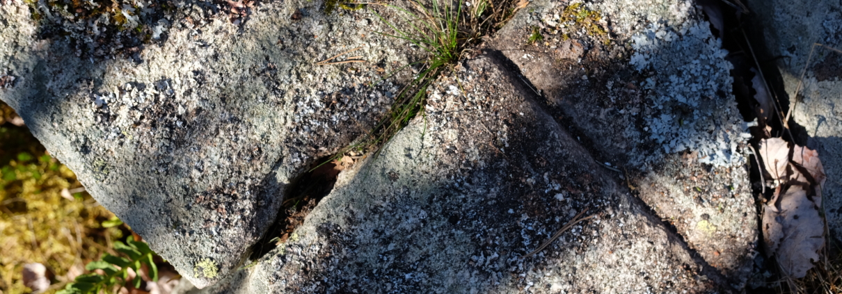 Detaljbild på spår efter användning av bredkil och rits. Från delar av momentet att klyva berget. Kilar slogs ner i borrhål, ofta längs en inhuggen rits för att få berget att spricka längs med önskad riktning. I ett stenbrott beläget i utredningsområdets norra del. Foto mot nordost.