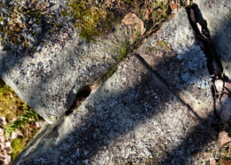 Detaljbild på spår efter användning av bredkil och rits. Från delar av momentet att klyva berget. Kilar slogs ner i borrhål, ofta längs en inhuggen rits för att få berget att spricka längs med önskad riktning. I ett stenbrott beläget i utredningsområdets norra del. Foto mot nordost.