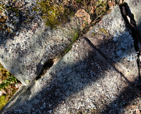 Detaljbild på spår efter användning av bredkil och rits. Från delar av momentet att klyva berget. Kilar slogs ner i borrhål, ofta längs en inhuggen rits för att få berget att spricka längs med önskad riktning. I ett stenbrott beläget i utredningsområdets norra del. Foto mot nordost.