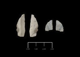 Fram- och baksida av de båda funna lancettmikroliterna.