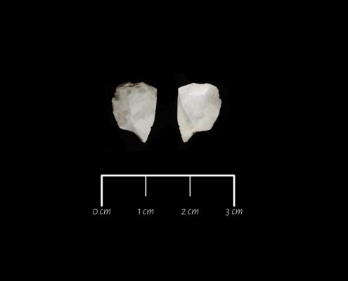 Fram- och baksida av funnen mikro- stickel.